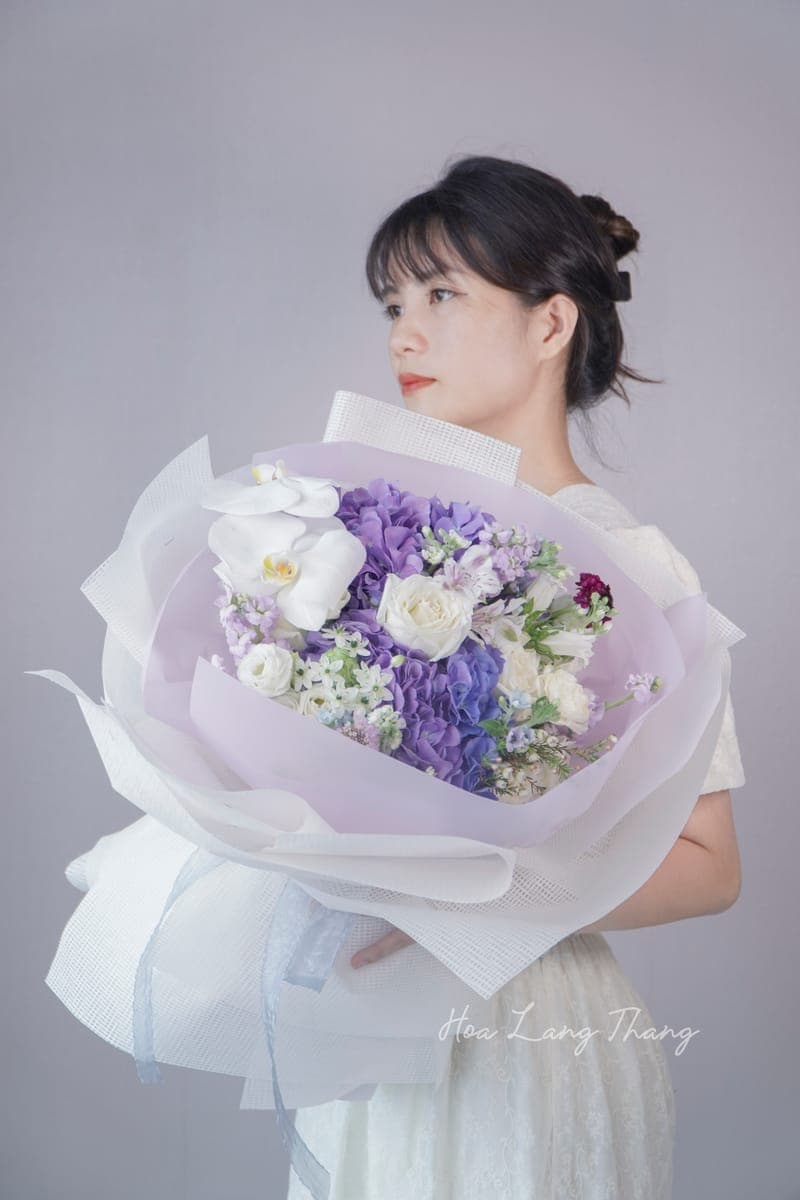 Cẩm Tú Cầu